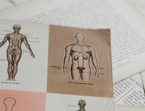 Note-Taking For Learning Anatomy